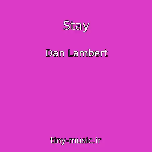 کاور آهنگ Stay از Dan Lambert