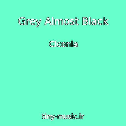 کاور آهنگ Grey Almost Black از Ciconia