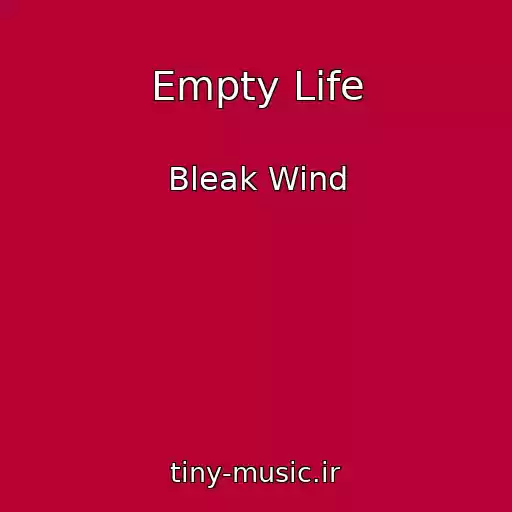 کاور آهنگ Empty Life از Bleak Wind