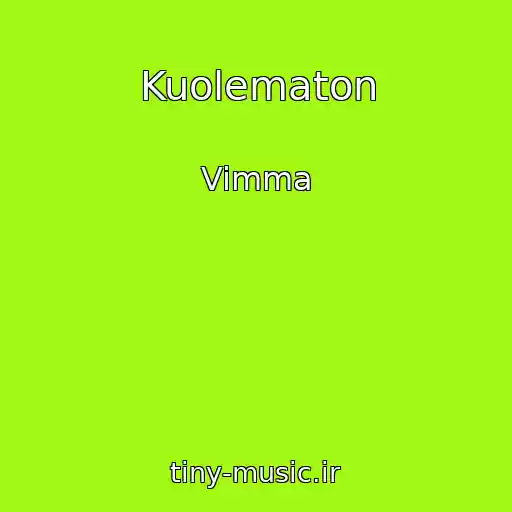 کاور آهنگ Kuolematon از Vimma