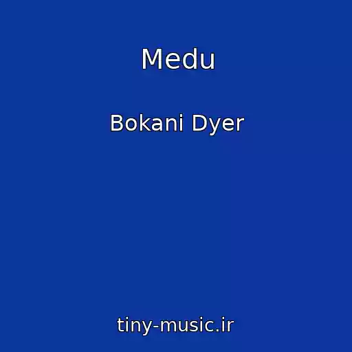 کاور آهنگ Medu از Bokani Dyer