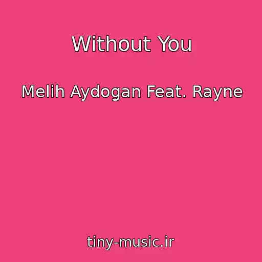 کاور آهنگ Without You از Melih Aydogan Feat. Rayne