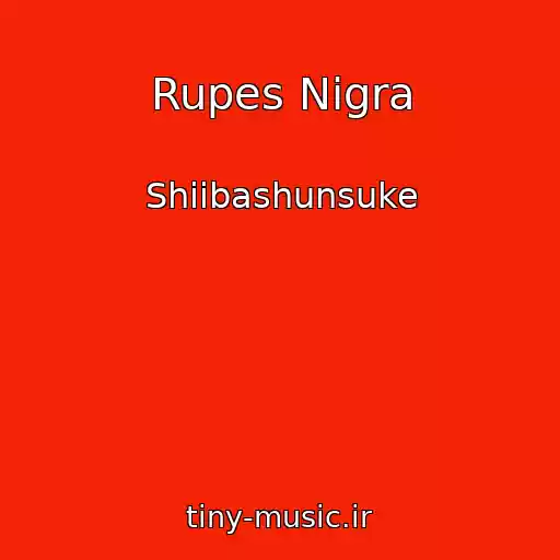 کاور آهنگ Rupes Nigra از Shiibashunsuke