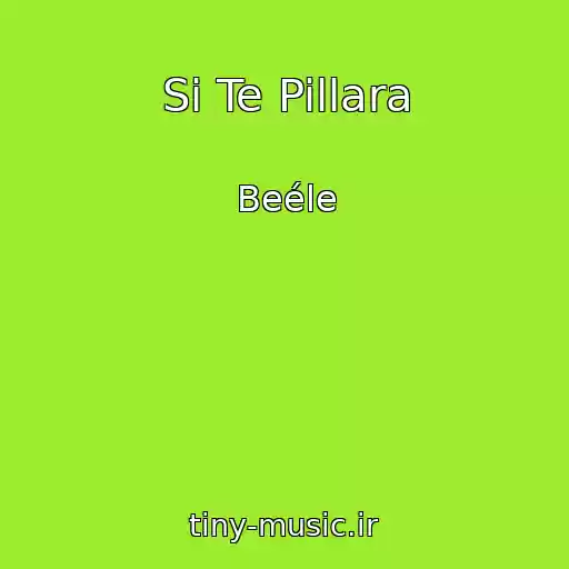 کاور آهنگ Si Te Pillara از Beéle
