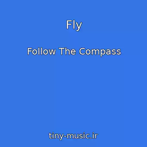 کاور آهنگ Fly از Follow The Compass