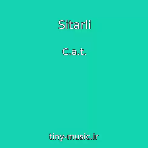 کاور آهنگ Sitarli از C.a.t.