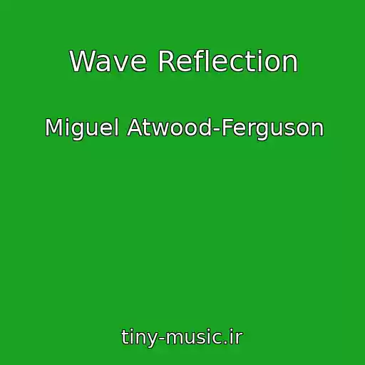 کاور آهنگ Wave Reflection از Miguel Atwood-Ferguson