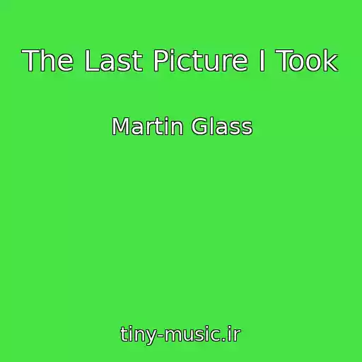کاور آهنگ The Last Picture I Took از Martin Glass
