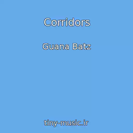 کاور آهنگ Corridors از Guana Batz