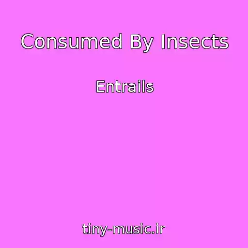 کاور آهنگ Consumed By Insects از Entrails