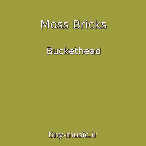 کاور آهنگ Moss Bricks از Buckethead