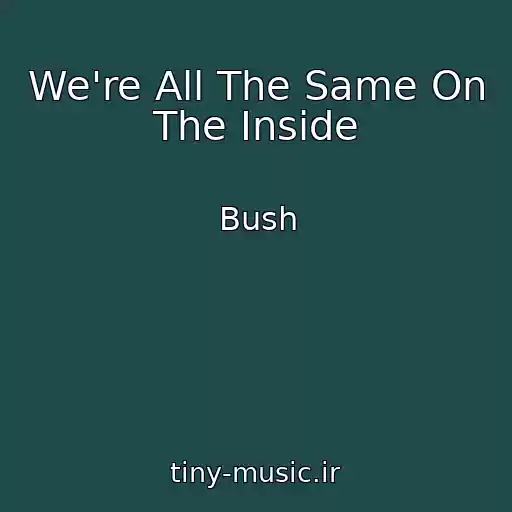 کاور آهنگ We're All The Same On The Inside از Bush