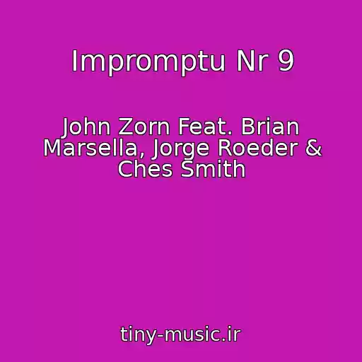 کاور آهنگ Impromptu Nr 9 از John Zorn Feat. Brian Marsella, Jorge Roeder & Ches Smith