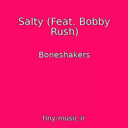 کاور آهنگ Salty (Feat. Bobby Rush) از Boneshakers