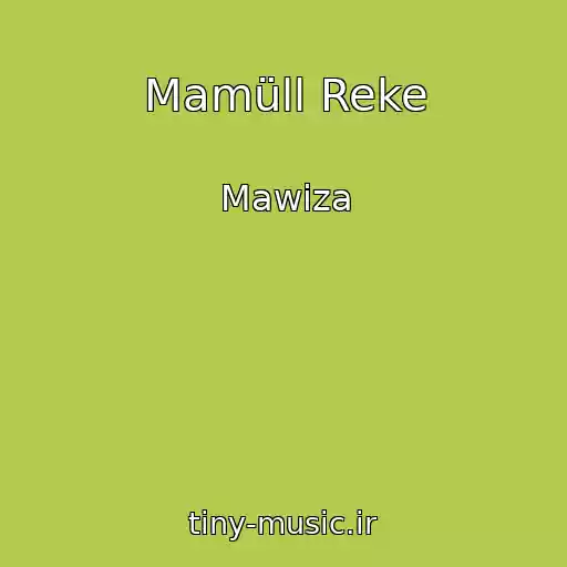 کاور آهنگ Mamüll Reke از Mawiza