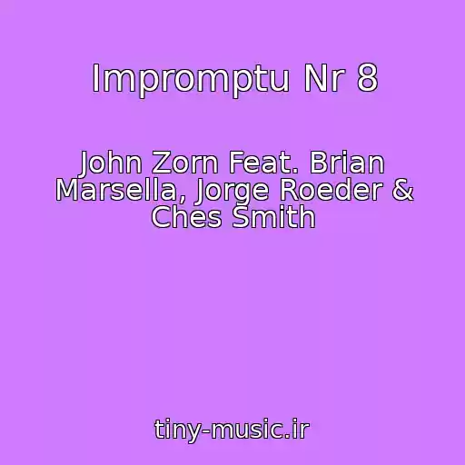 کاور آهنگ Impromptu Nr 8 از John Zorn Feat. Brian Marsella, Jorge Roeder & Ches Smith
