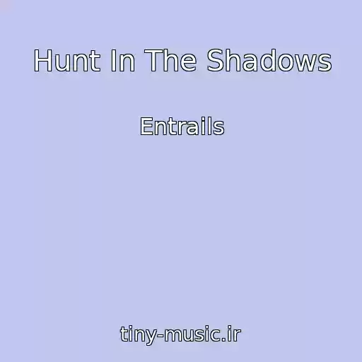 کاور آهنگ Hunt In The Shadows از Entrails