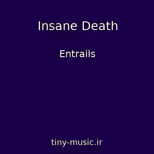 کاور آهنگ Insane Death از Entrails