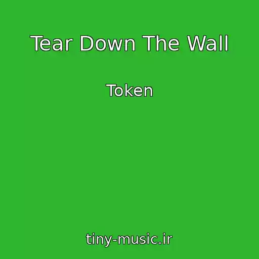 کاور آهنگ Tear Down The Wall از Token