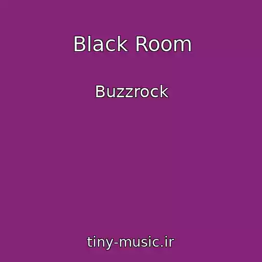 کاور آهنگ Black Room از Buzzrock