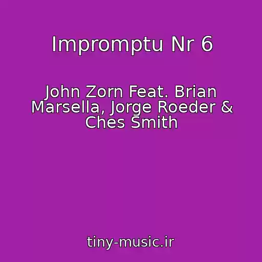 کاور آهنگ Impromptu Nr 6 از John Zorn Feat. Brian Marsella, Jorge Roeder & Ches Smith