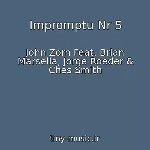 کاور آهنگ Impromptu Nr 5 از John Zorn Feat. Brian Marsella, Jorge Roeder & Ches Smith