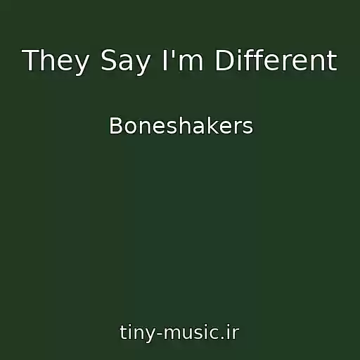 کاور آهنگ They Say I'm Different از Boneshakers