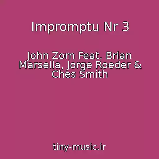 کاور آهنگ Impromptu Nr 3 از John Zorn Feat. Brian Marsella, Jorge Roeder & Ches Smith