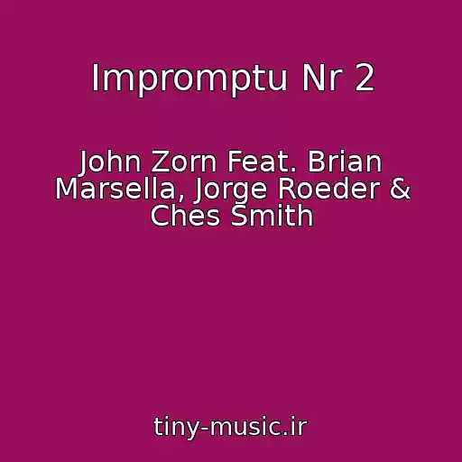 کاور آهنگ Impromptu Nr 2 از John Zorn Feat. Brian Marsella, Jorge Roeder & Ches Smith