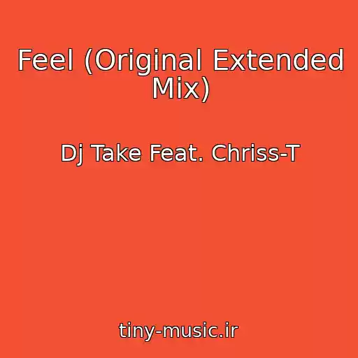 کاور آهنگ Feel (Original Extended Mix) از Dj Take Feat. Chriss-T