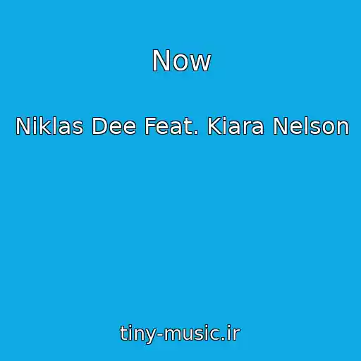 کاور آهنگ Now از Niklas Dee Feat. Kiara Nelson