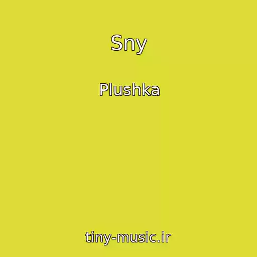 کاور آهنگ Sny از Plushka