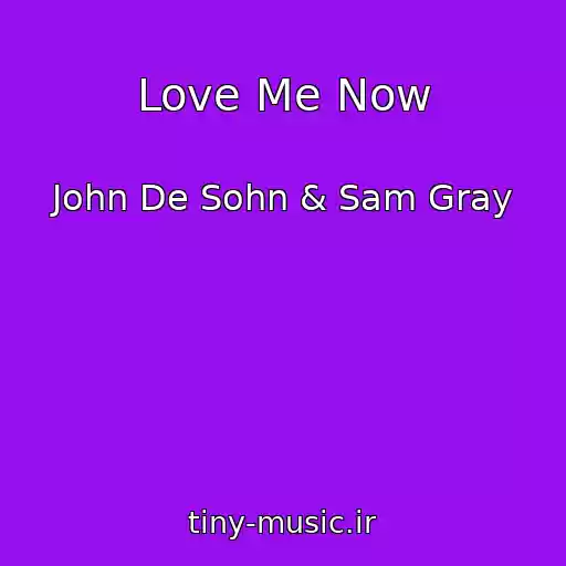 کاور آهنگ Love Me Now از John De Sohn & Sam Gray