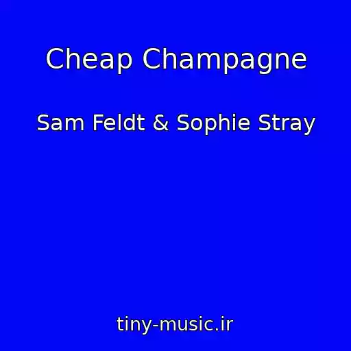 کاور آهنگ Cheap Champagne از Sam Feldt & Sophie Stray