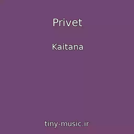 کاور آهنگ Privet از Kaitana