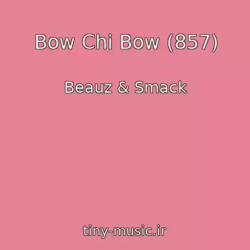 کاور آهنگ Bow Chi Bow (857) از Beauz & Smack
