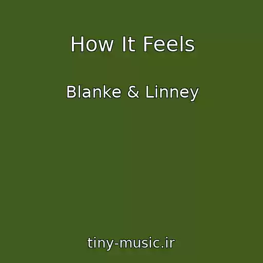کاور آهنگ How It Feels از Blanke & Linney