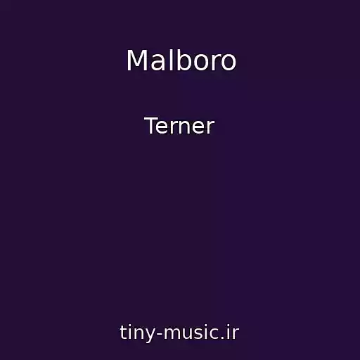 کاور آهنگ Malboro از Terner