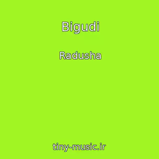 کاور آهنگ Bigudi از Radusha