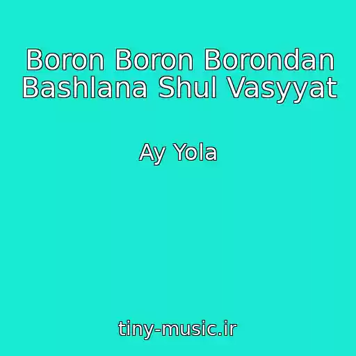 کاور آهنگ Boron Boron Borondan Bashlana Shul Vasyyat از Ay Yola
