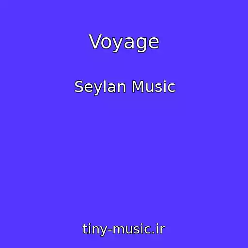 کاور آهنگ Voyage از Seylan Music