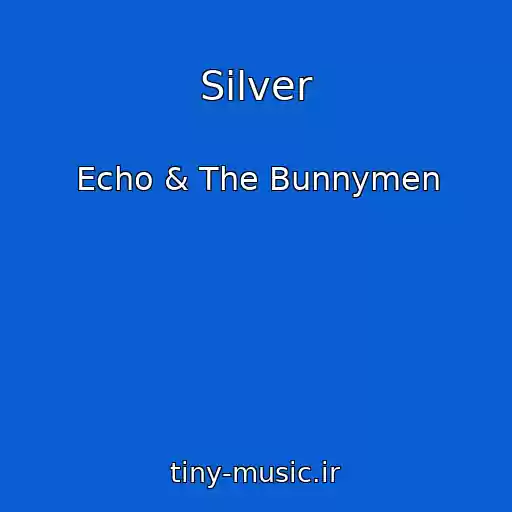کاور آهنگ Silver از Echo & The Bunnymen