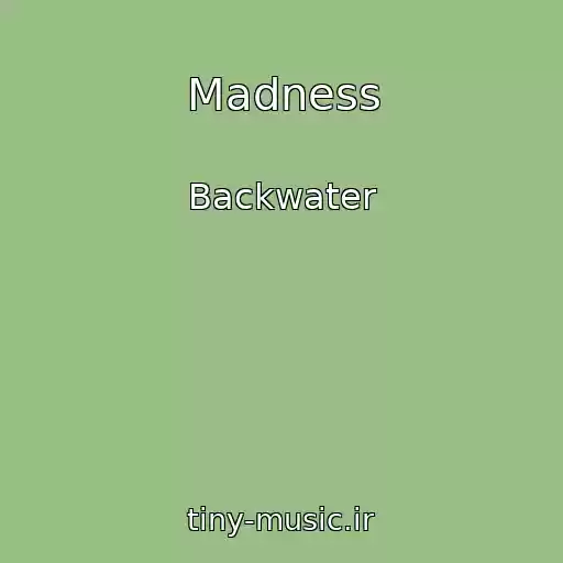 کاور آهنگ Madness از Backwater