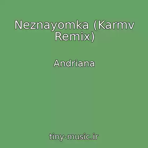 کاور آهنگ Neznayomka (Karmv Remix) از Andrіana
