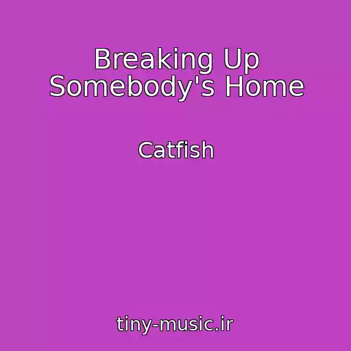 کاور آهنگ Breaking Up Somebody's Home از Catfish