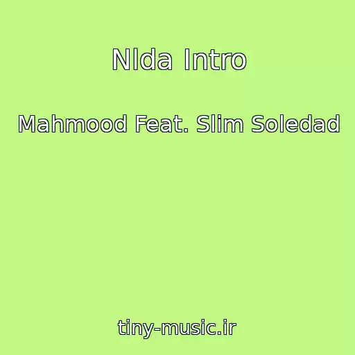 کاور آهنگ Nlda Intro از Mahmood Feat. Slim Soledad
