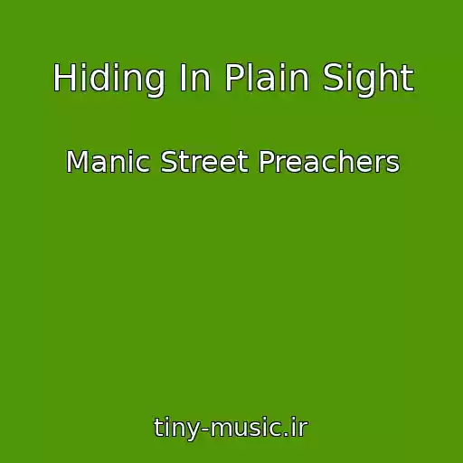 کاور آهنگ Hiding In Plain Sight از Manic Street Preachers