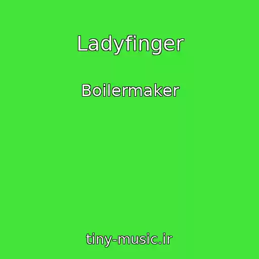 کاور آهنگ Ladyfinger از Boilermaker