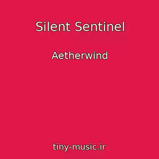 کاور آهنگ Silent Sentinel از Aetherwind