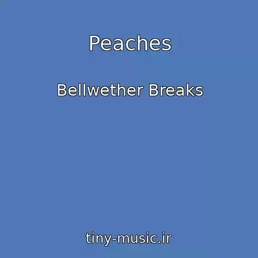 کاور آهنگ Peaches از Bellwether Breaks